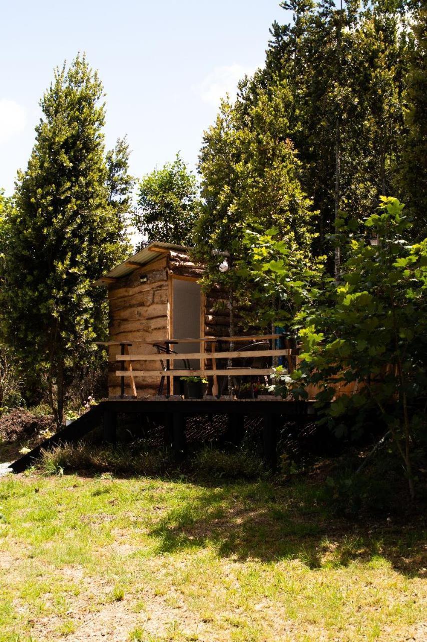 Cabanas Trapen Пуэрто-Монт Экстерьер фото